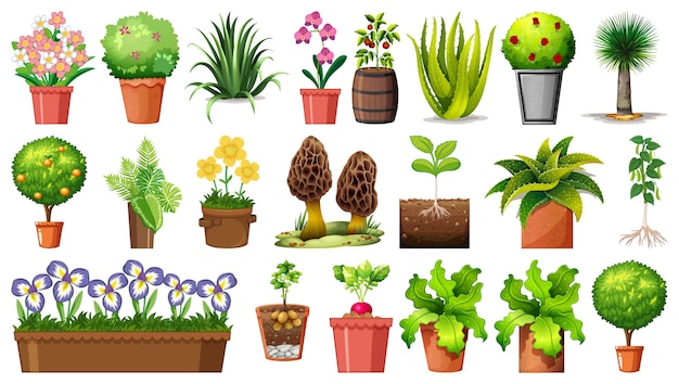 Gratis vector set van verschillende planten in potten geïsoleerd op een witte achtergrond