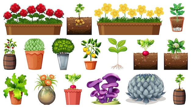 Gratis vector set van verschillende planten in potten op wit wordt geïsoleerd