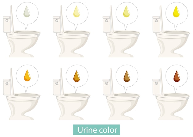 Set van verschillende urinekleuren met toiletten