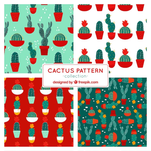 Set van vier cactus patronen