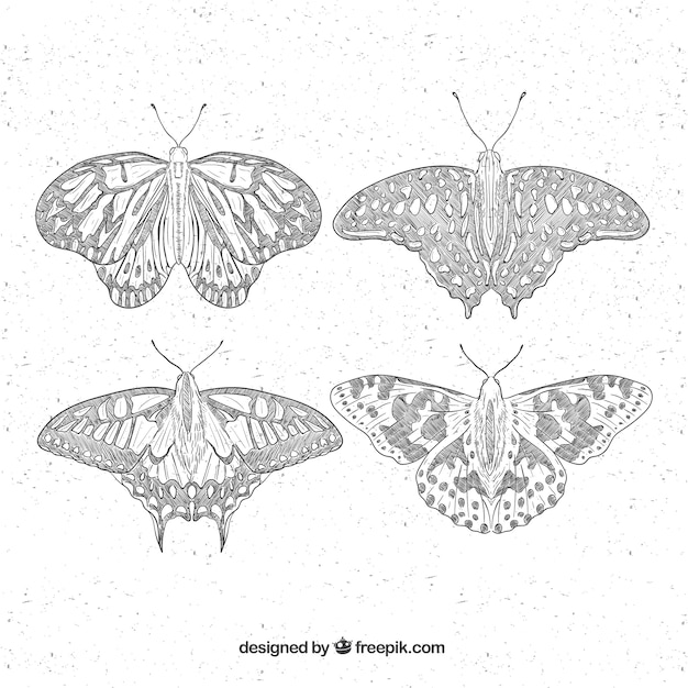 Set van vier met de hand getekende vlinders