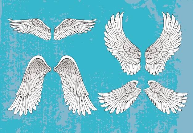 Gratis vector set van vier paar handgetekende witte vleugels in open uitgeschoven positie met veerdetail