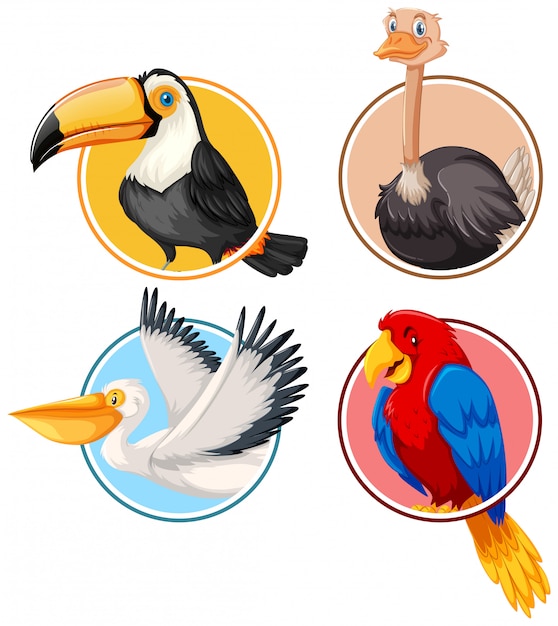 Gratis vector set van vogels in cirkel