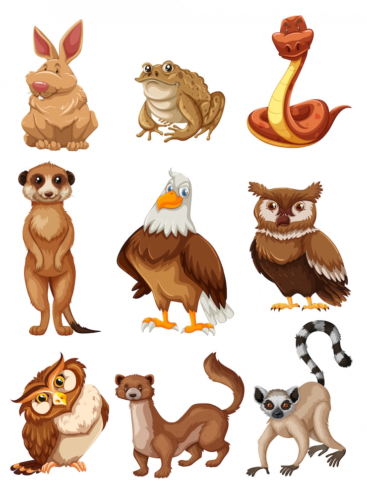 Gratis Vector set van wilde dieren