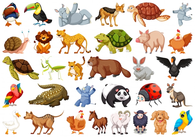 Set van wilde dieren