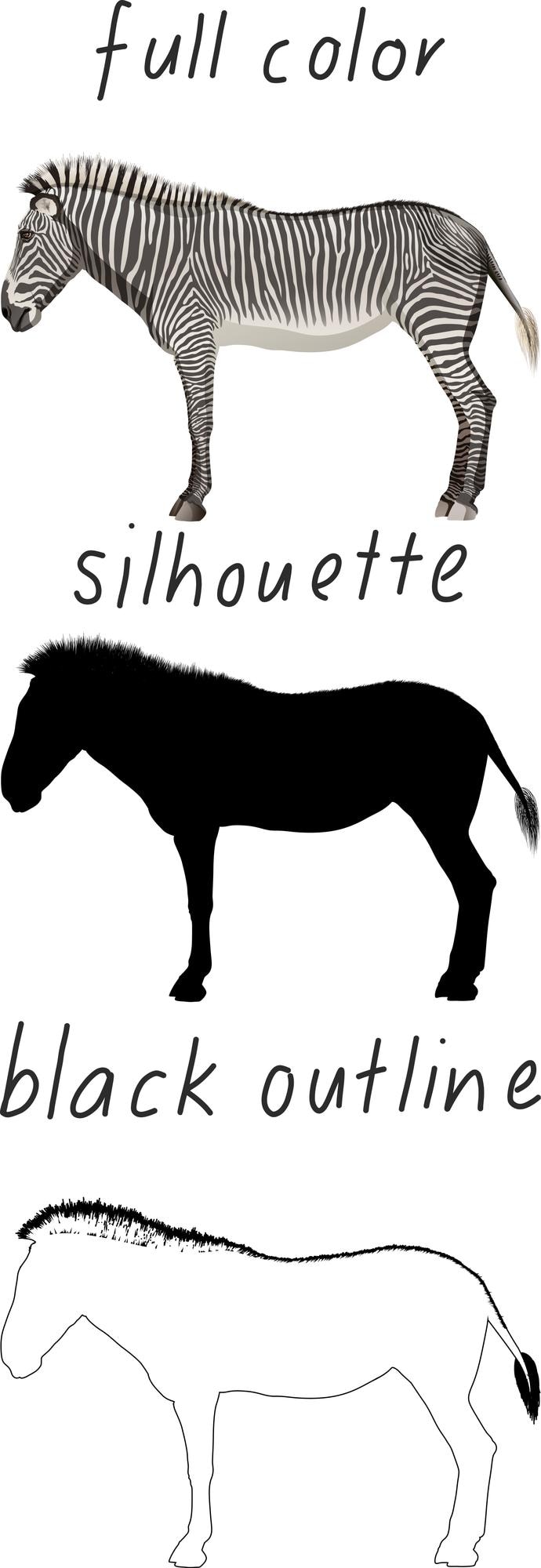 Gratis Vector set van zebra's in kleur, silhouet en zwarte omtrek op witte achtergrond