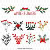 Gratis vector sier winter bloemen