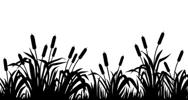 Gratis vector silhouet moeras riet lisdodde lisdodde gras geïsoleerde rand van moerasplanten