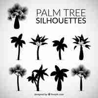 Gratis vector silhouetten van palm