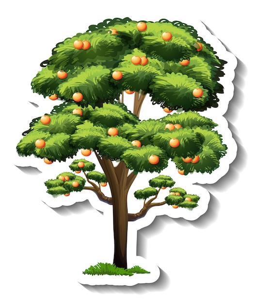 Gratis vector sinaasappelboom sticker op witte achtergrond