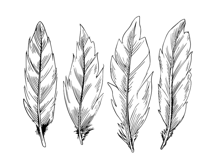 Gratis Vector sketch stijl lijnkunst decoratieve veer ontwerp set