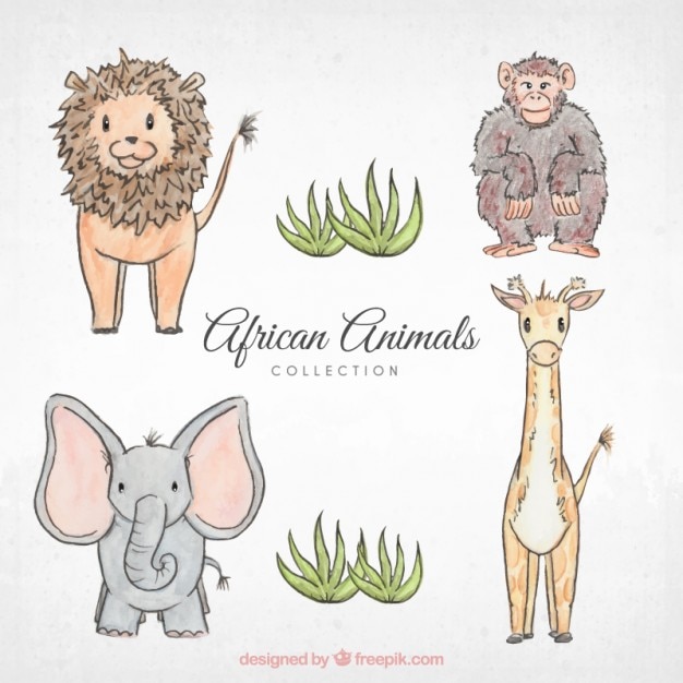 Gratis vector sketches afrikaanse dieren