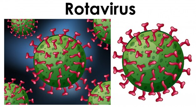 Sluit omhoog geïsoleerd voorwerp van virus Rotavirus