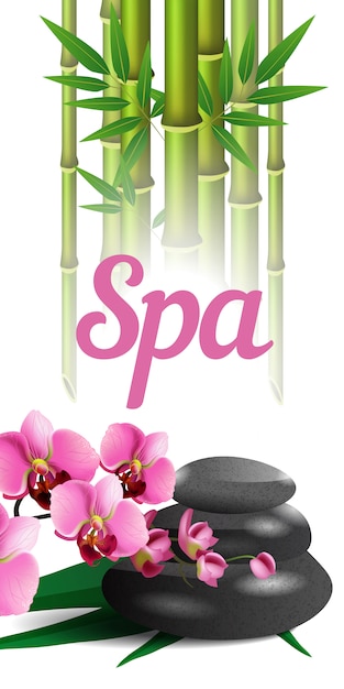 Spa-belettering, bamboe, stenen en orchidee. spa salon reclameaffiche