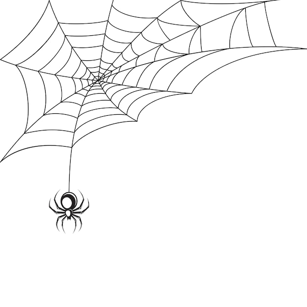 Spider web behang