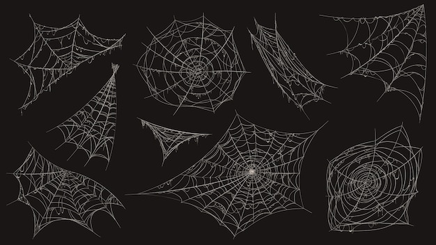 Spinnenweb. halloween spinneweb griezelige decoratie. hoek met oud stoffig spinnenweb hangend. griezelige decor spinnen witte kleverige val vector set. halloween-hoek, spinnenwebdraad, kleverige lijn