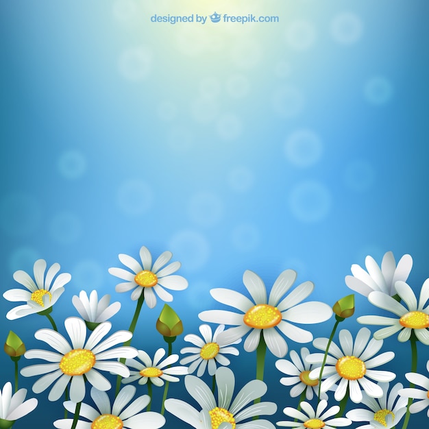 Gratis vector spring achtergrond met madeliefjes