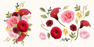 Gratis vector stel aquarelelementen van rode rozenlelie en ranonkelbloem in