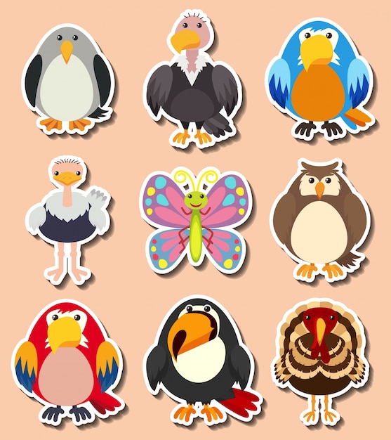 Sticker ontwerp met verschillende soorten vogels