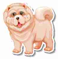 Gratis vector stickerontwerp met geïsoleerde chow chow-hond