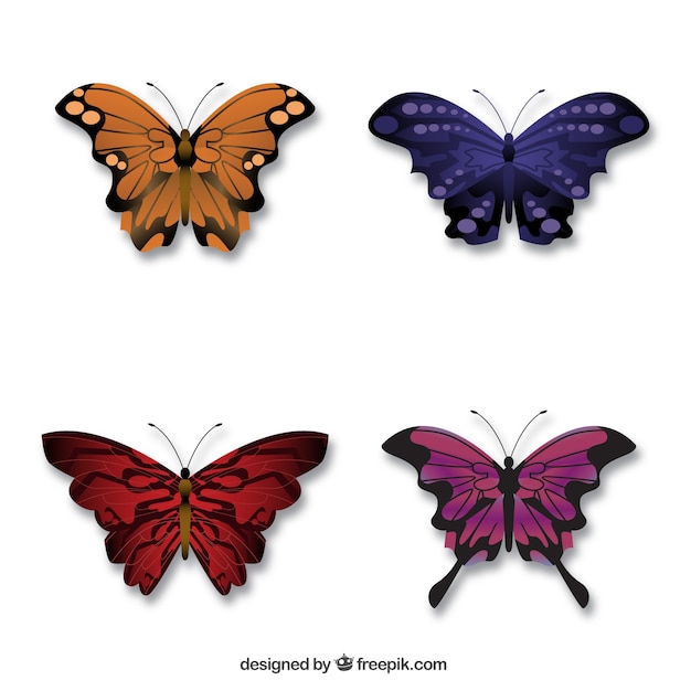 stijlvolle vlinders
