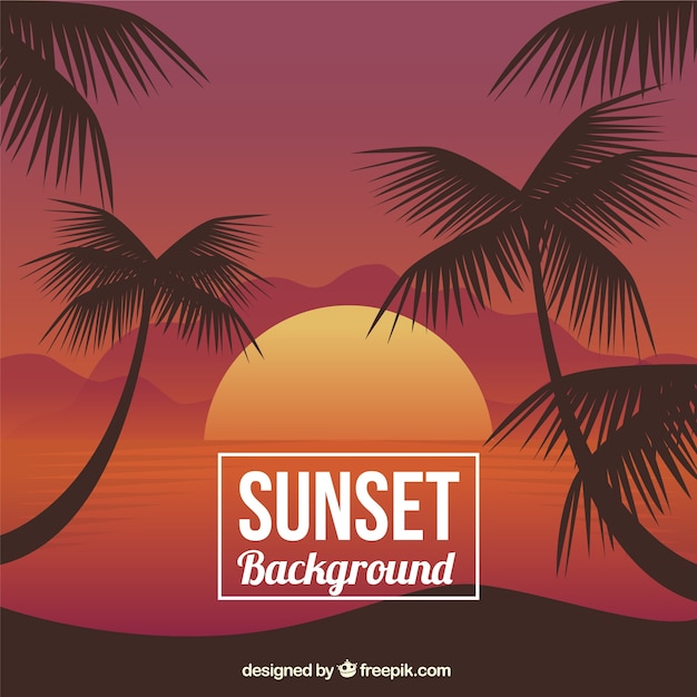 Sunset achtergrond met palmbomen