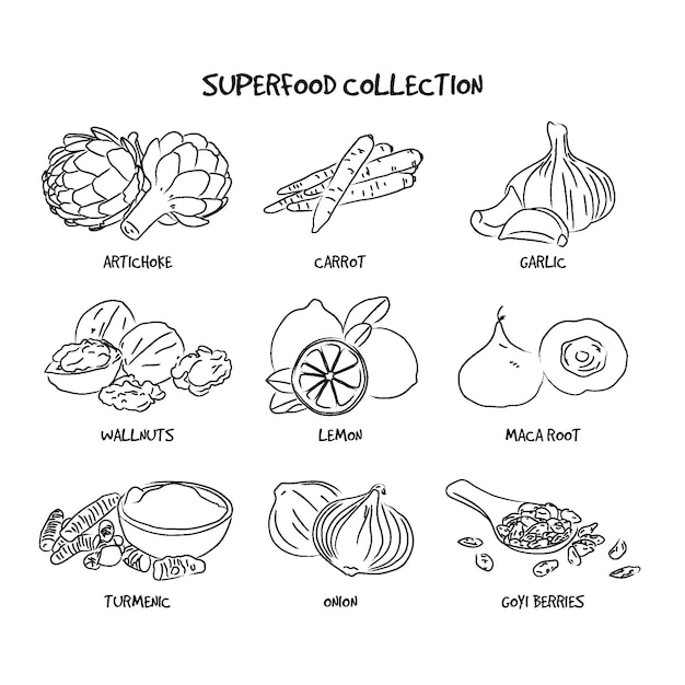 Superfood collectie handgetekende ontwerp