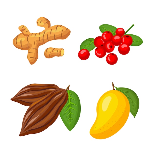 Gratis vector superfood-collectie