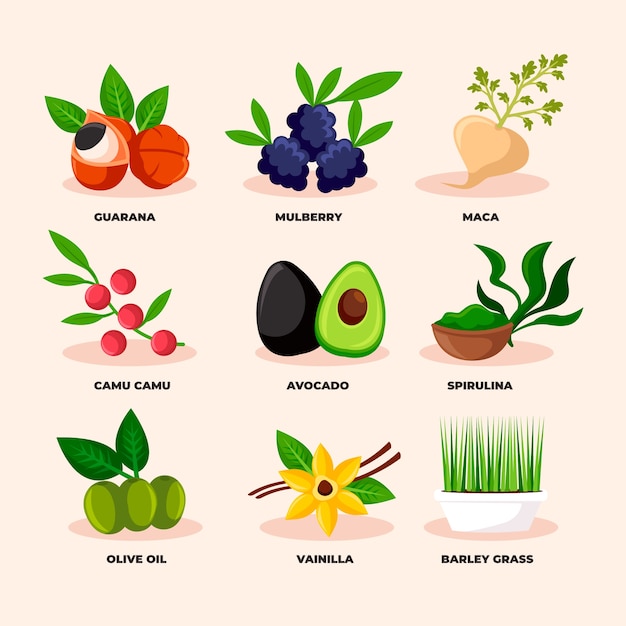 Gratis vector superfood collectieconcept