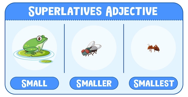 Gratis vector superlatieven bijvoeglijke naamwoorden voor woord klein