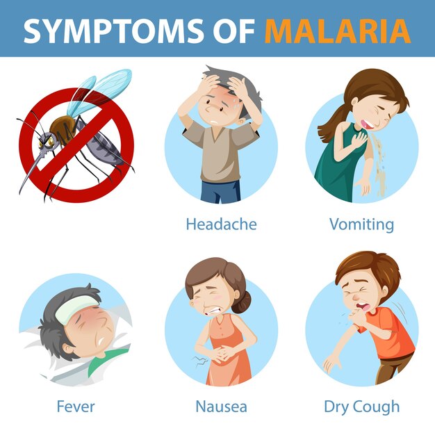 Symptomen van malaria cartoon-stijl infographic