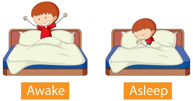 Gratis vector tegenovergestelde woorden met wakker en in slaap