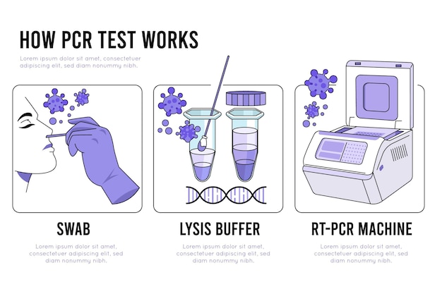 Gratis vector test en analyse van de polymerasekettingreactie