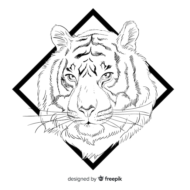 Gratis vector tijger hoofd