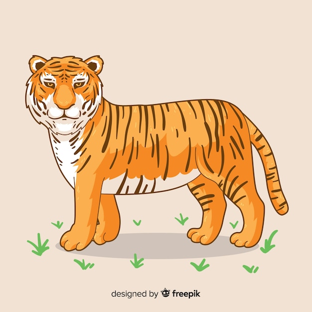 Tijger