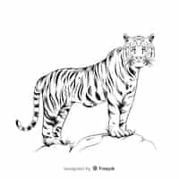 Gratis vector tijger