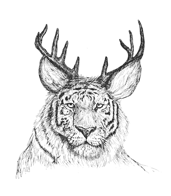 Gratis vector tijgergezicht met hertenhoorns psychedelische handgetekende schets illustratie wallpaper