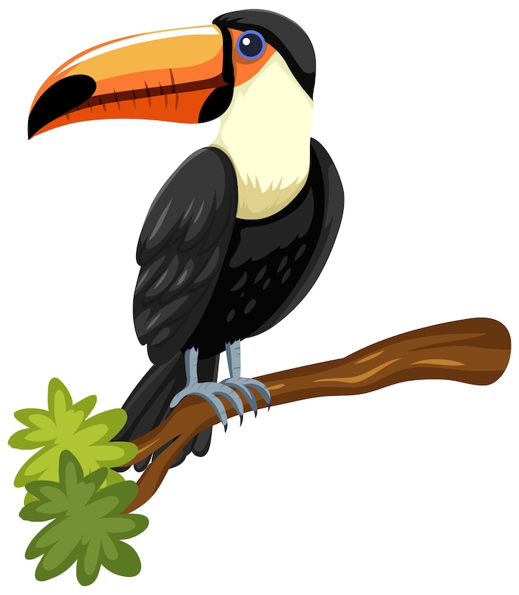 Gratis Vector toekanvogel op een tak die op witte achtergrond wordt geïsoleerd