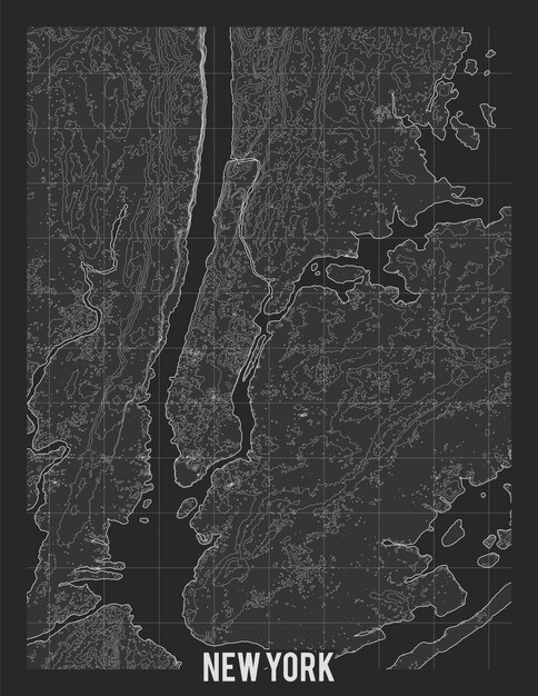 Topografische kaart van New York