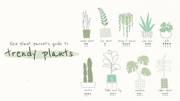 Gratis vector trendy kamerplant gids sjabloon vector voor blog banner