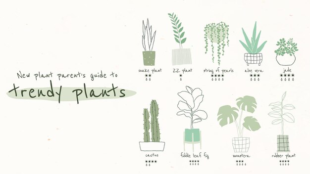 Trendy kamerplant gids sjabloon vector voor blog banner