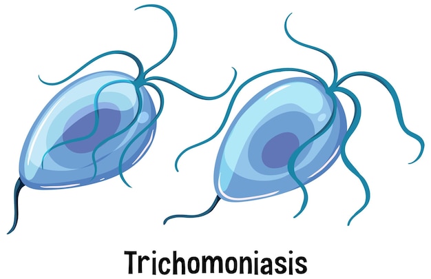 Trichomonas vaginalis met tekst