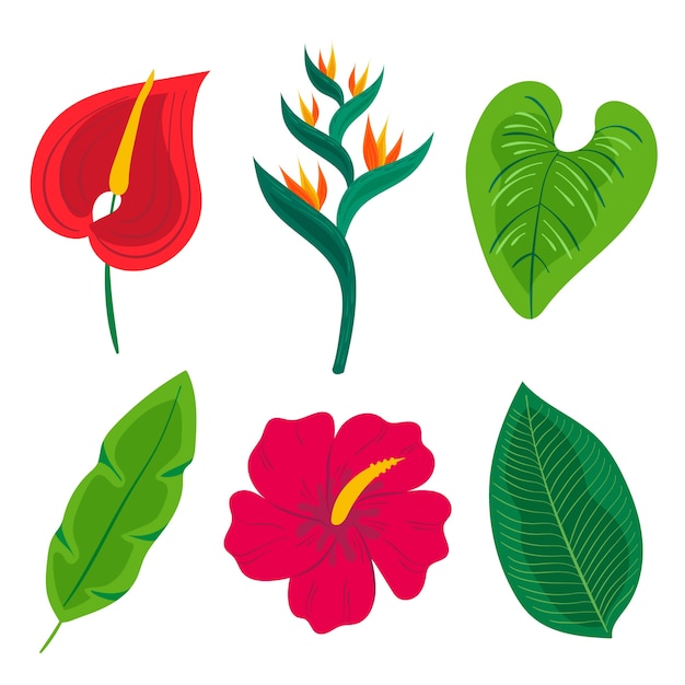 Gratis vector tropisch blad en bloemencollectiethema