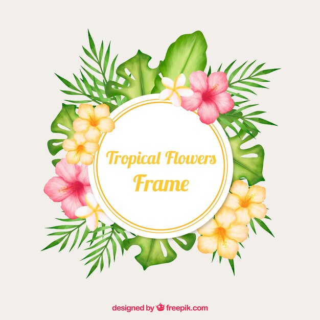 Tropisch frame met kleurrijke bloemen