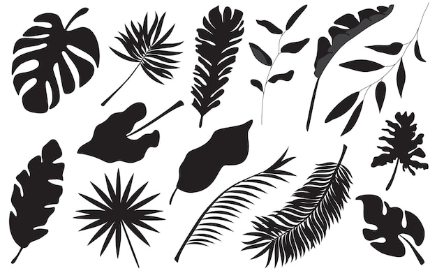 Tropisch palmblad geïsoleerd op een witte achtergrond Zwarte zomer plant boom set Tropic branch Vector