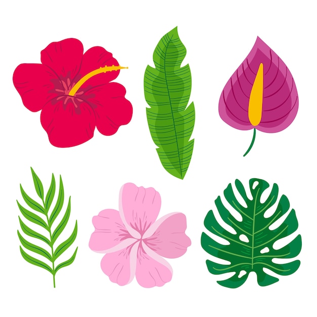 Tropische blad en bloem collectie concept