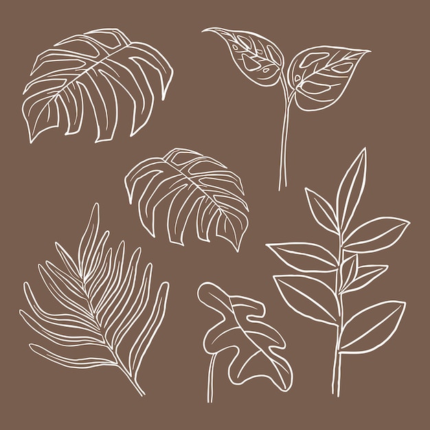 Tropische blad vector doodle botanische illustratie set