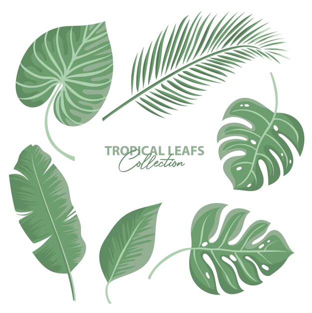 Tropische bladeren collectie geïsoleerd