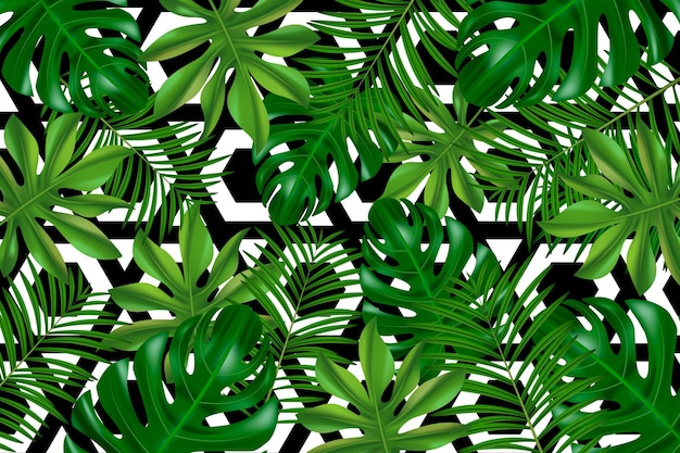 Tropische bladeren met geometrische achtergrond