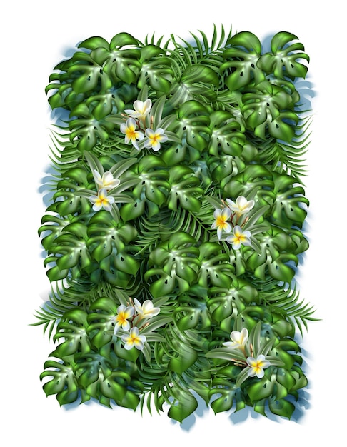 Gratis vector tropische bladerenachtergrond met frangipanibloemen